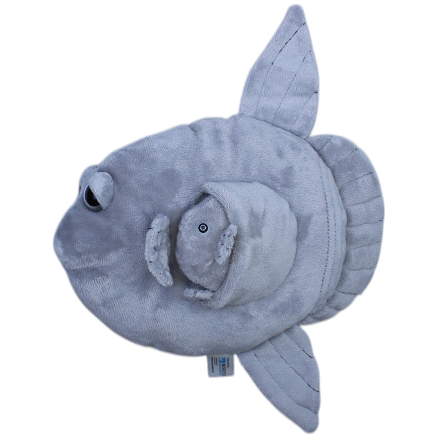 Mondfisch mit Baby