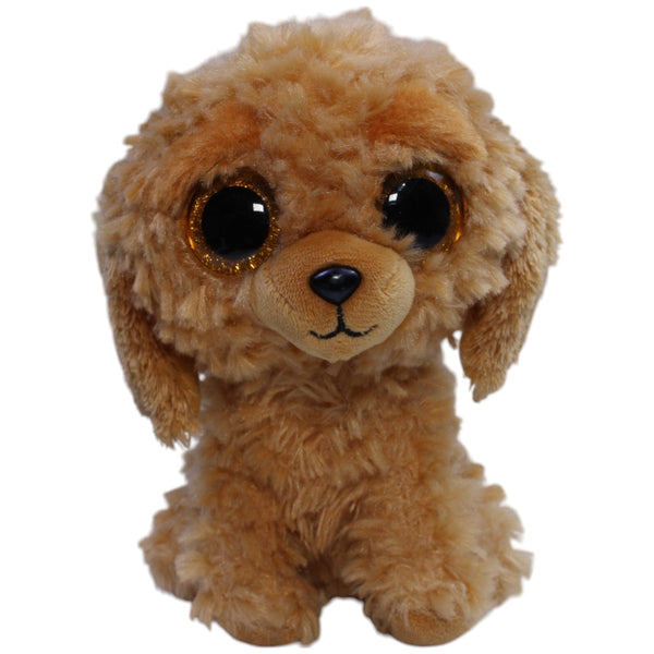 Goldendoodle Noodles
