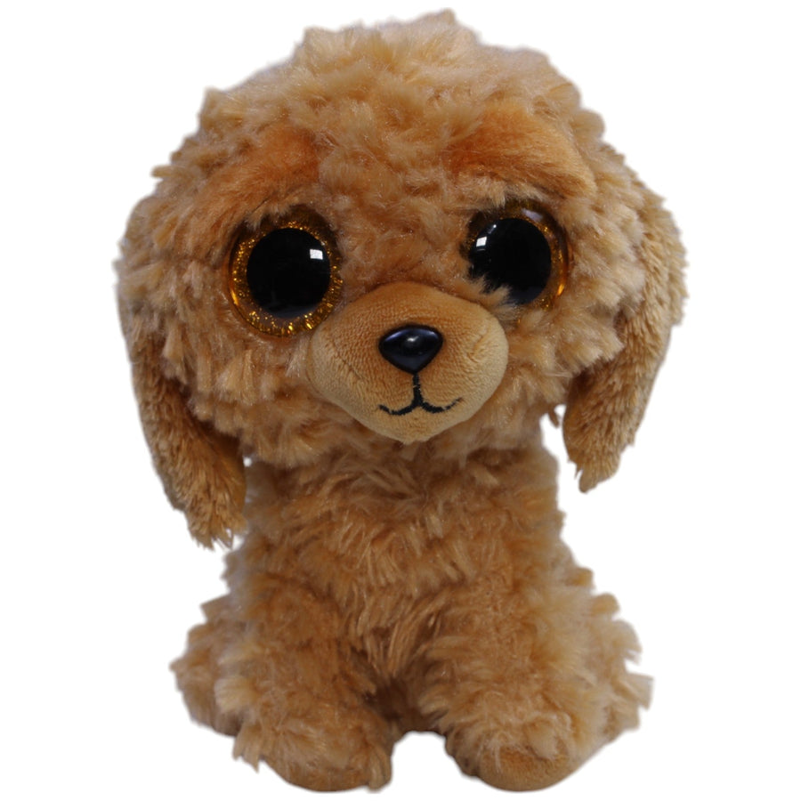 Goldendoodle Noodles