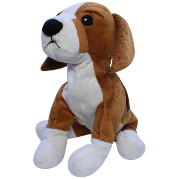 Beagle, GOSIG VALP