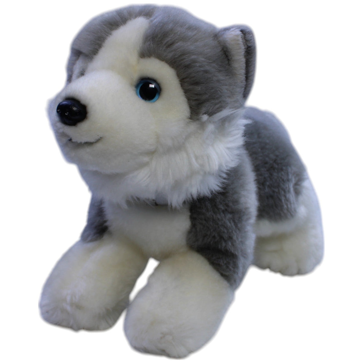 123000012819 Bauer Süßer Husky mit Halsband Kuscheltier Kumpel Leo Gebraucht Hund