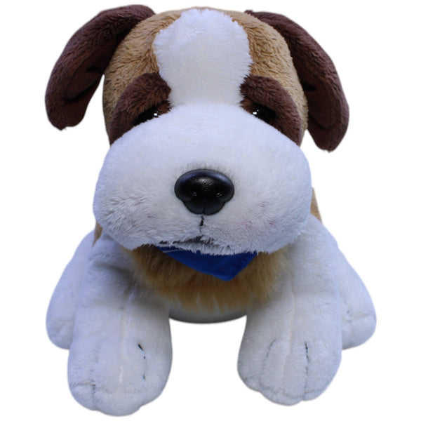Buderus, süßer Hund mit Halstuch