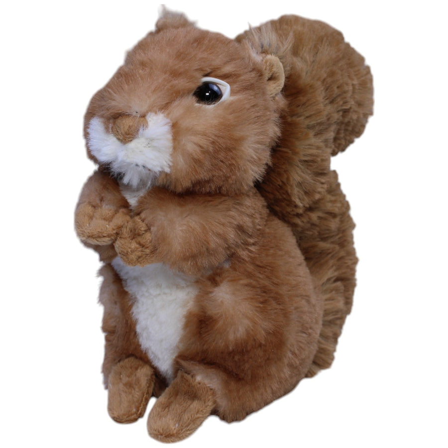Süßes weiches Eichhörnchen