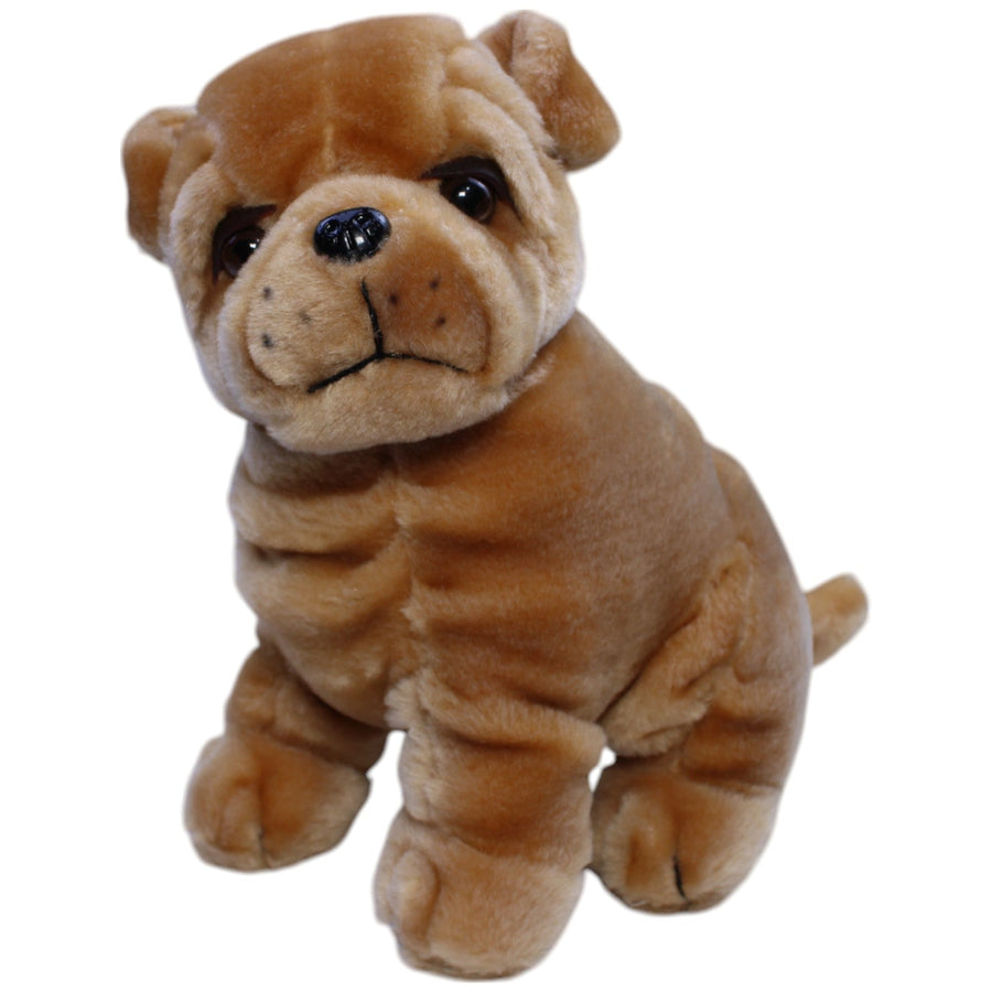 Shar-Pei, sitzend
