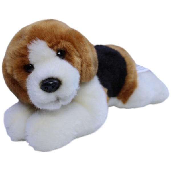 Süßer Beagle-Welpe