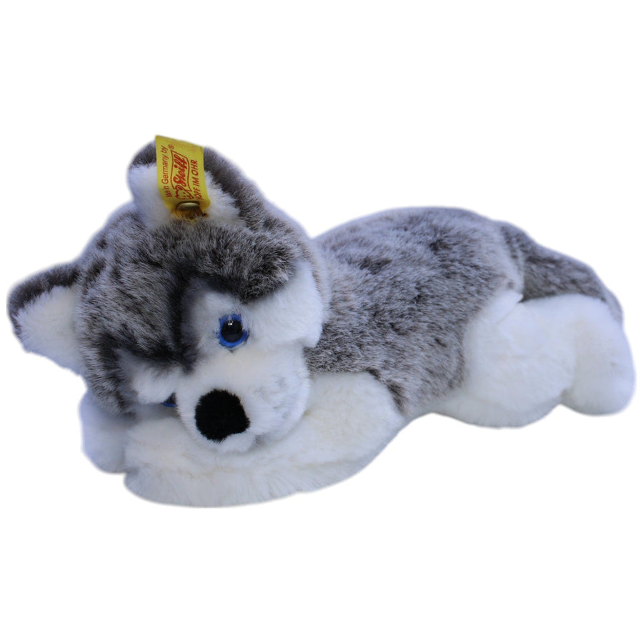 Bernie Husky (280078)