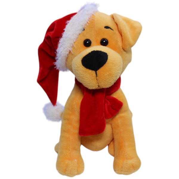 Süßer Hund mit Weihnachtsmütze, sitzend