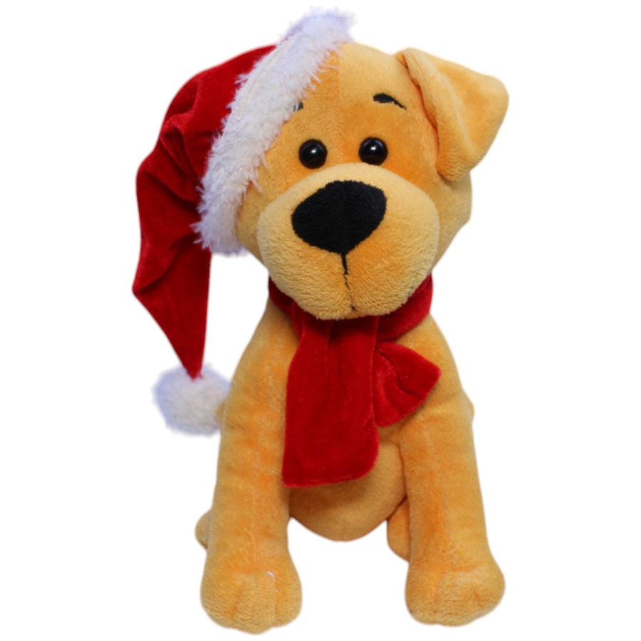 Süßer Hund mit Weihnachtsmütze, sitzend