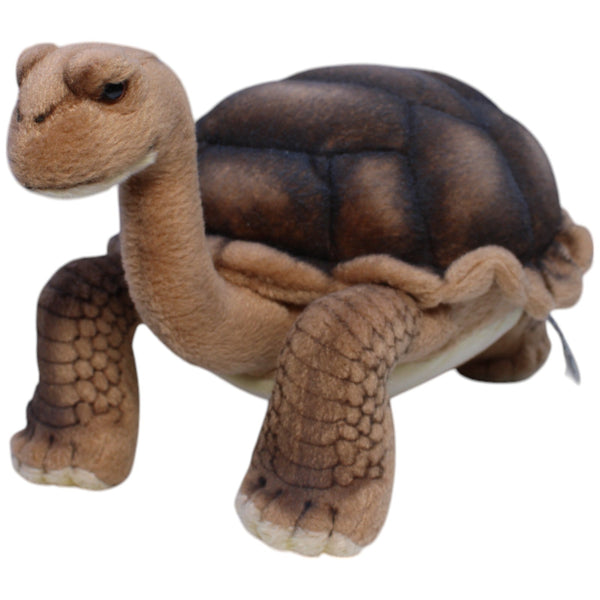 Hansa Creation, Landschildkröte