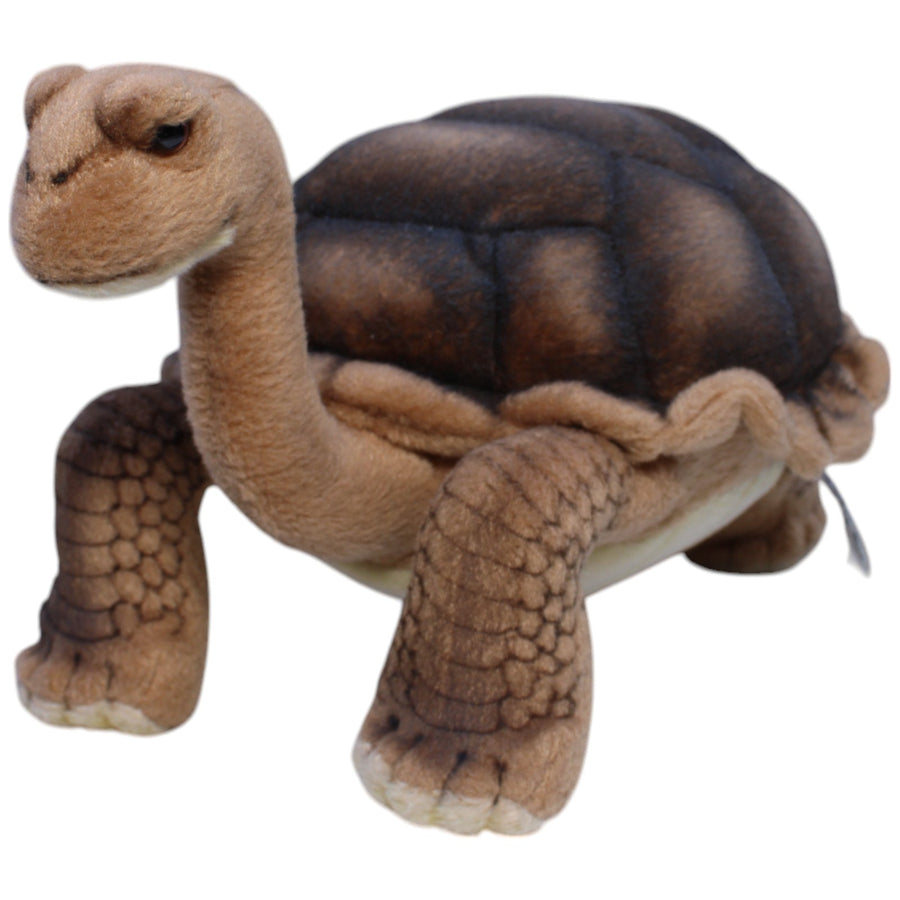 Hansa Creation, Landschildkröte