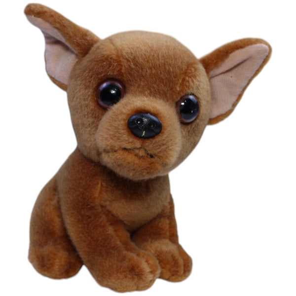 Süßer Chihuahua, sitzend