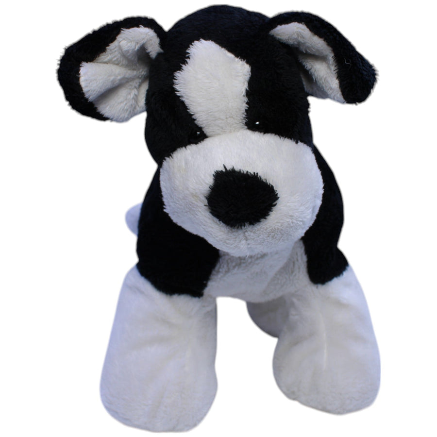 Süßer Hund, schwarz-weiß