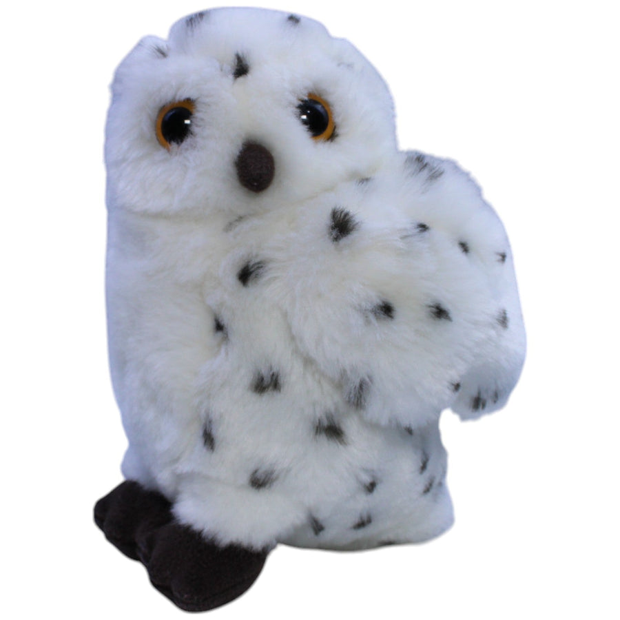 Hübsche Schneeeule