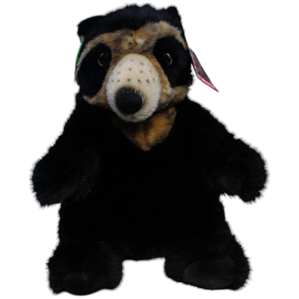 Brillenbär