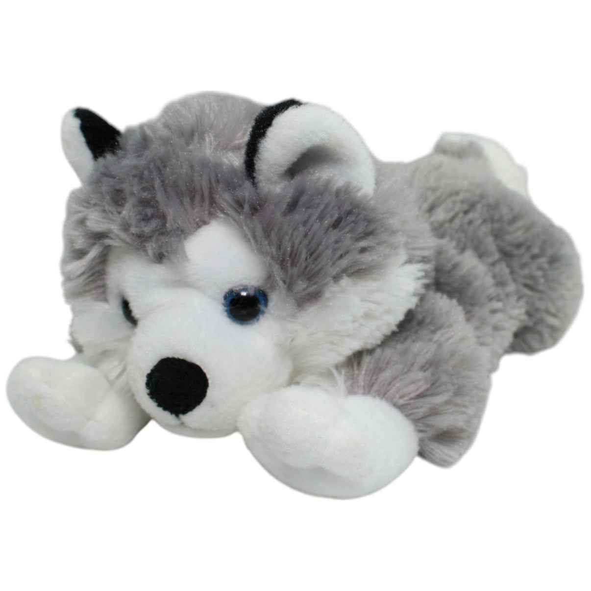 123000013781 Plush & Company Süßer Husky zum Befüllen Kuscheltier Kumpel Leo Gebraucht Hund