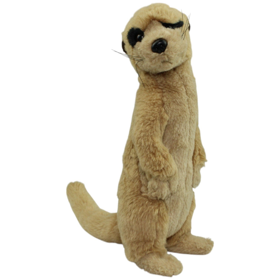 Hübsches Erdmännchen, stehend