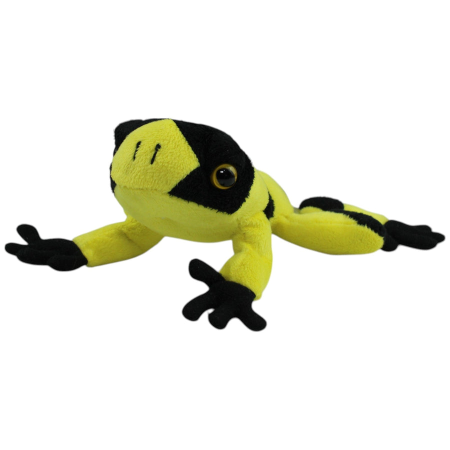 Gelbgebänderter Baumsteigerfrosch