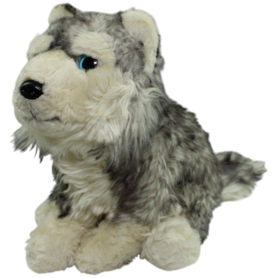 Hübscher Wolf, sitzend