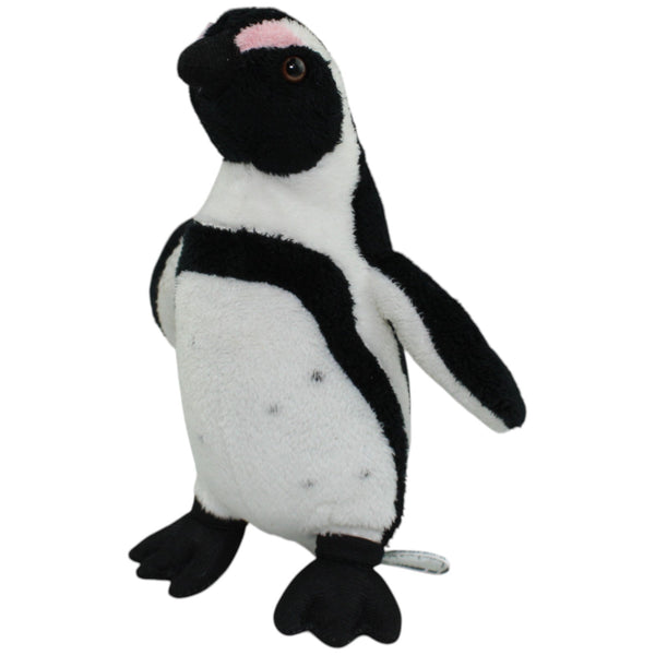 Brillenpinguin, stehend