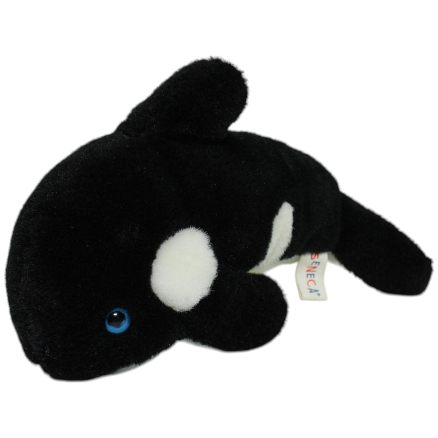 Orca mit blauen Augen