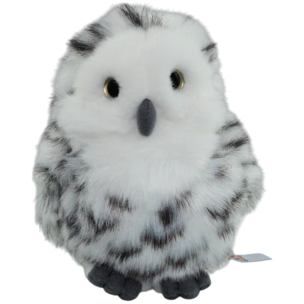 Hübsche Schneeeule, klein