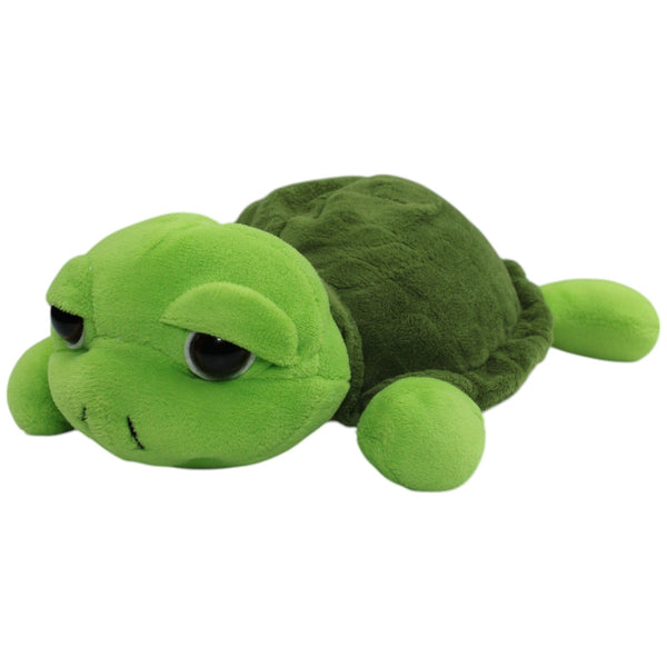 Süße grüne Schildkröte