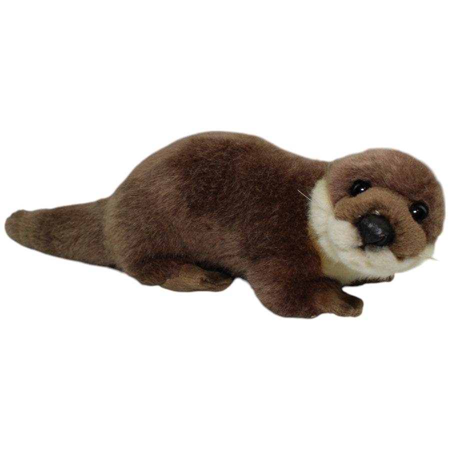 Leosco, süßer Otter