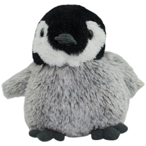 Süßes Pinguin Baby, klein