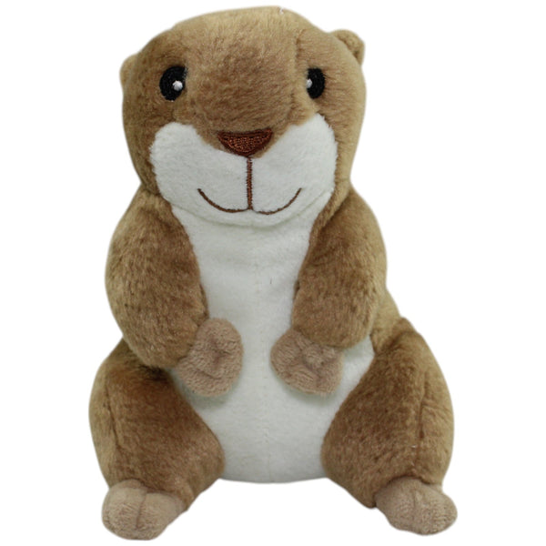 Süßer Hamster