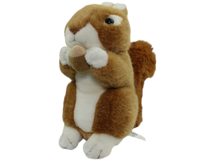 Eichhörnchen mit Nuss