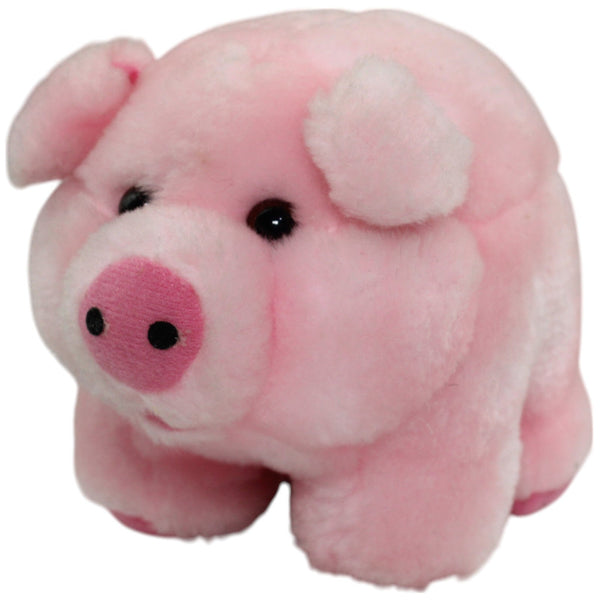 Kleines süßes Schwein