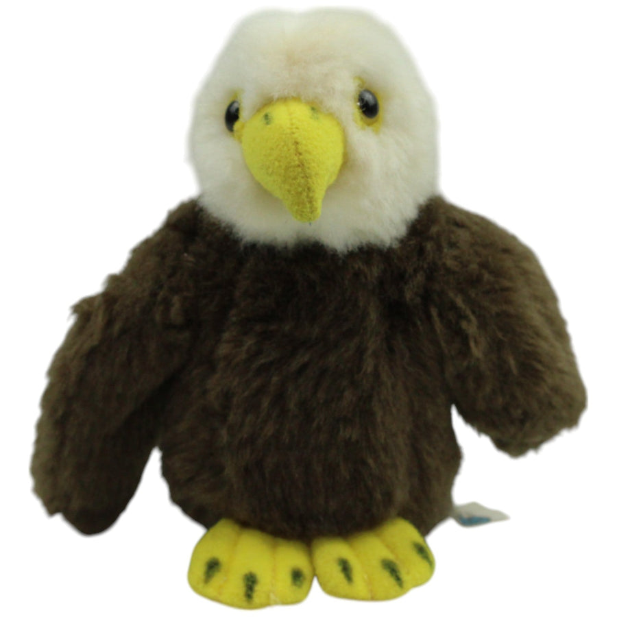 Kleiner Weißkopfseeadler