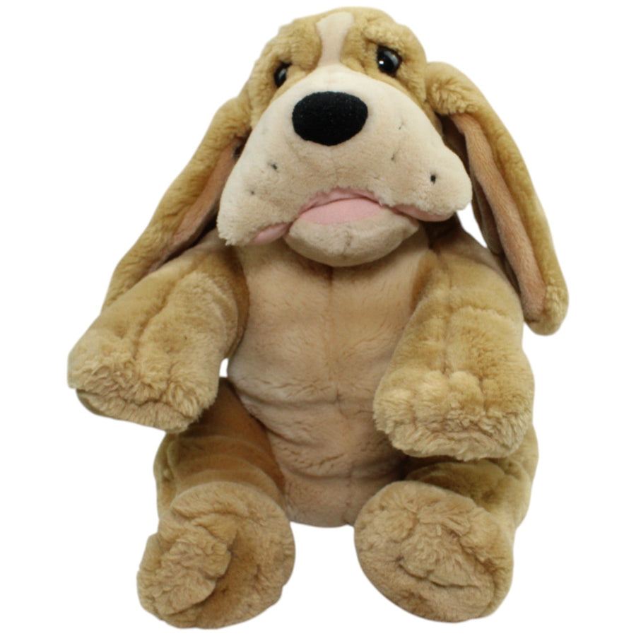 Süßer Jagdhund, groß