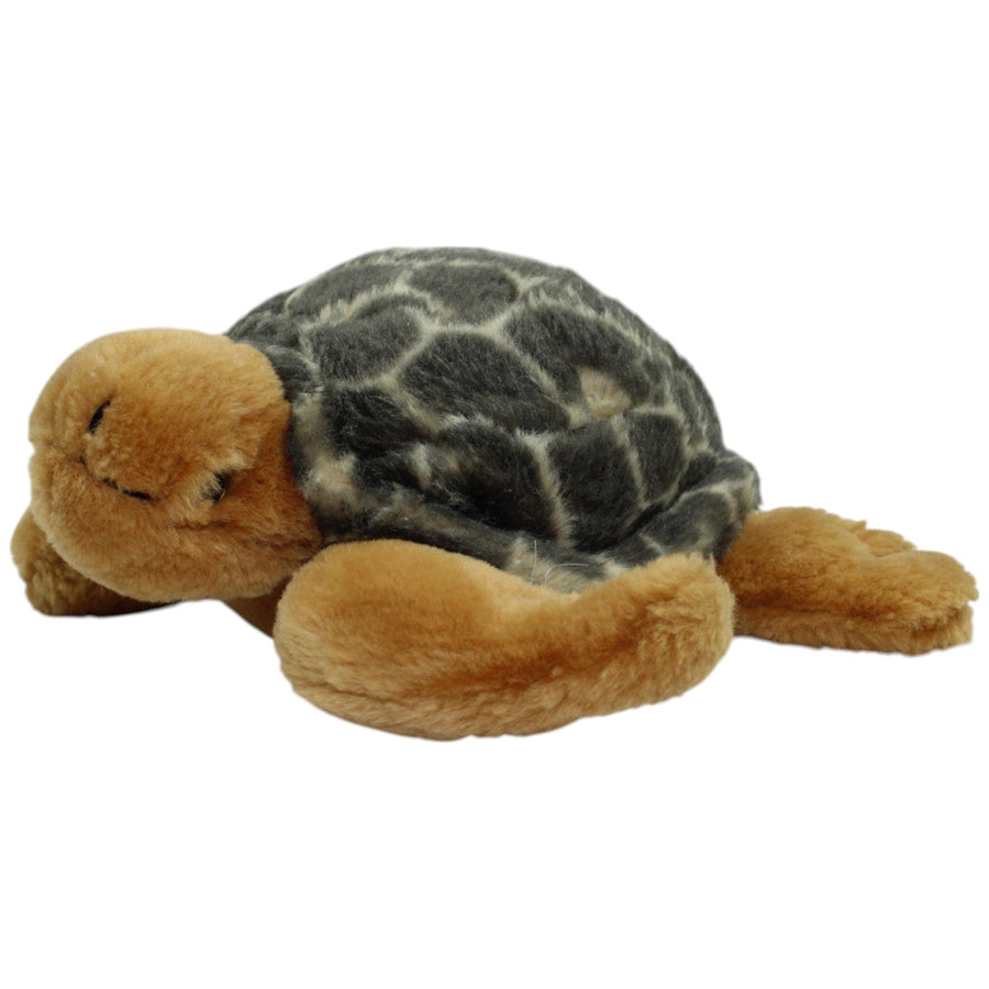 Braune Schildkröte