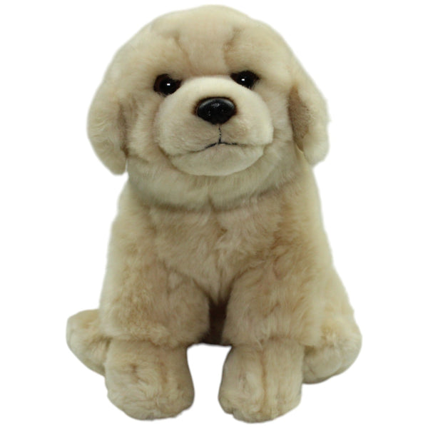 Leosco, sitzender Golden Retriever