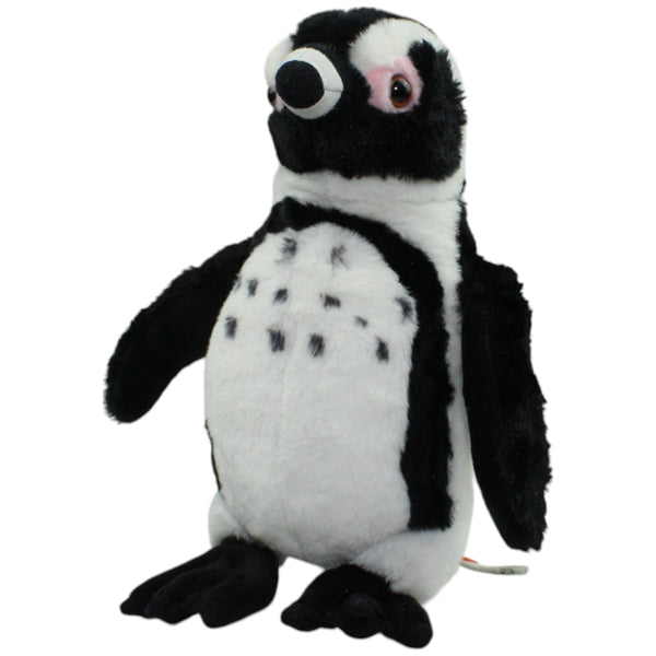 Humboldt-Pinguin, stehend