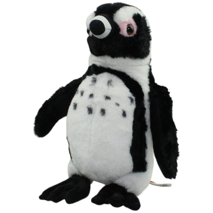 Humboldt-Pinguin, stehend