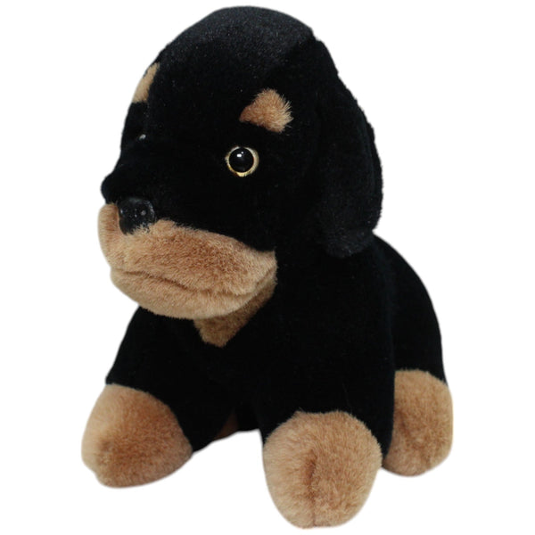 Hübscher Rottweiler Welpe, klein