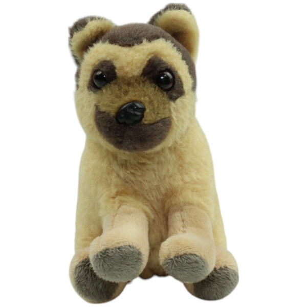 Kleiner Schäferhund, sitzend