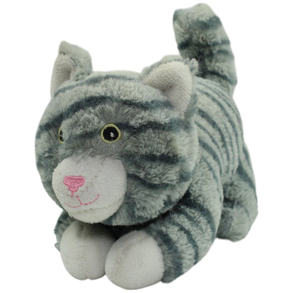Süße graue Katze
