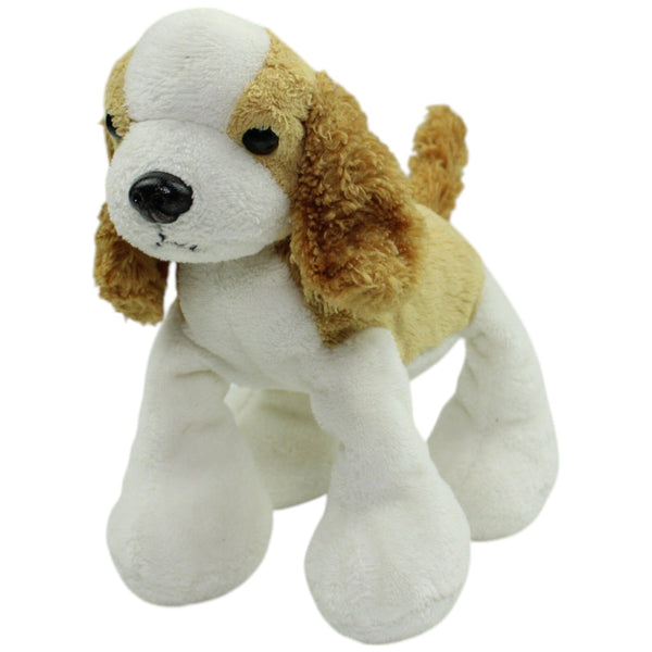 Kleiner Cocker Spaniel