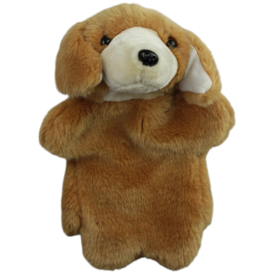 Süßer brauner Hund