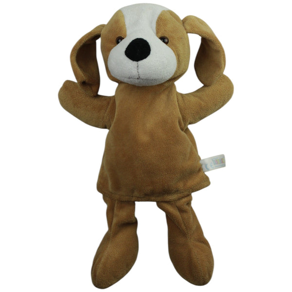 Süßer Hund