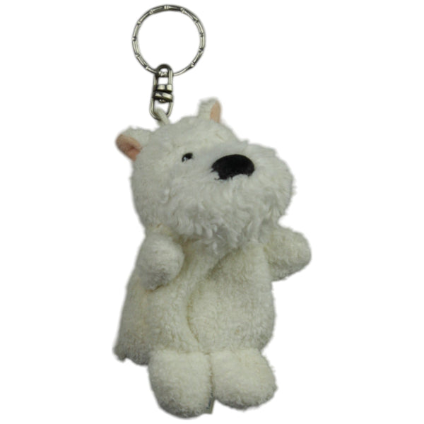 Süßer Foxterrier, weiß