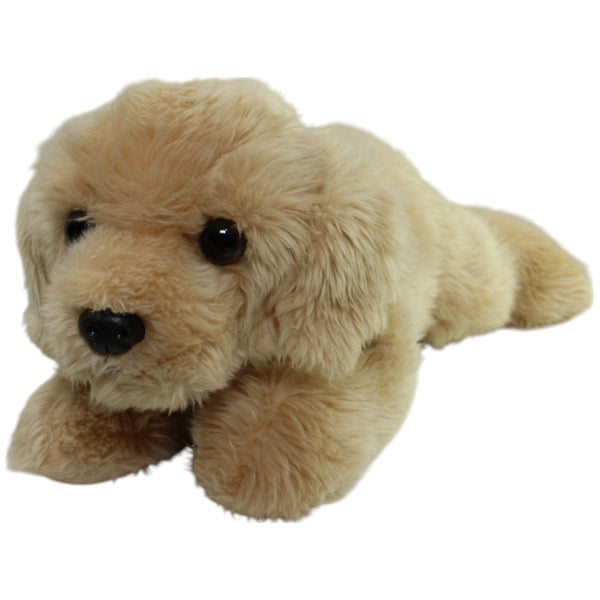 Liegender Golden Retriever Welpe