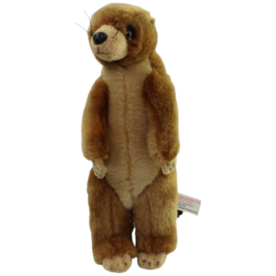 Süßes Erdmännchen