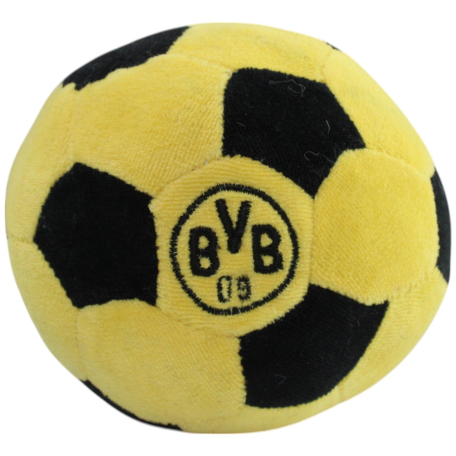 BVB 09 Fußball