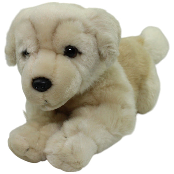 Leosco, liegender Golden Retriever Welpe