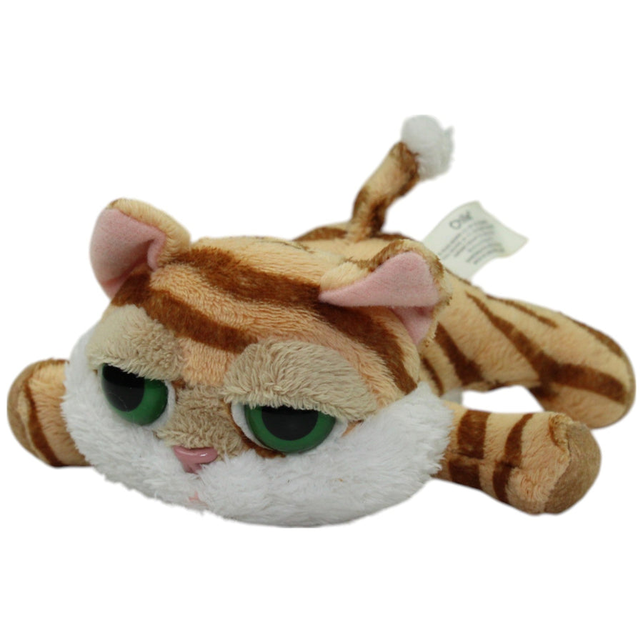 Kleine gestreifte Katze, Chilie