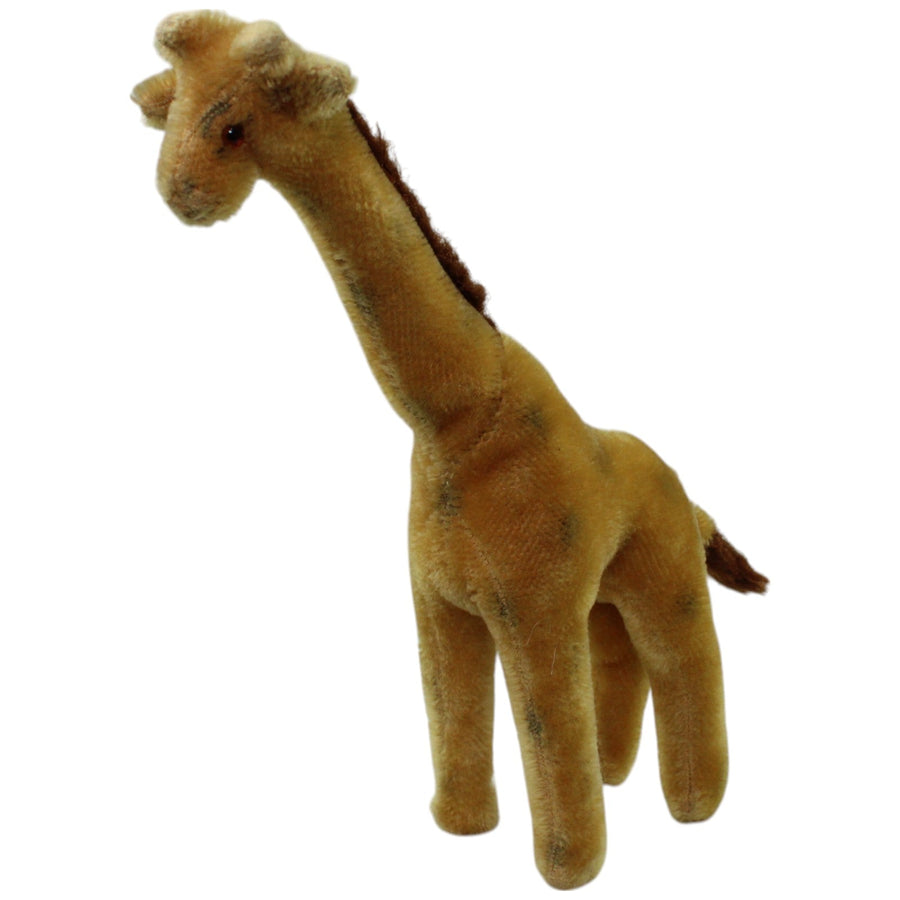 Giraffe, stehend